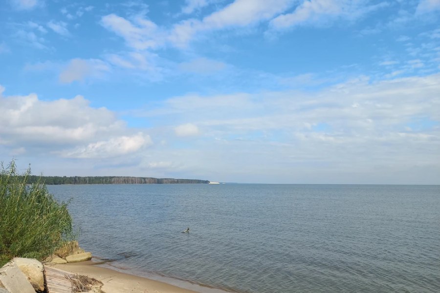 Куршская коса и уютный Зеленоградск