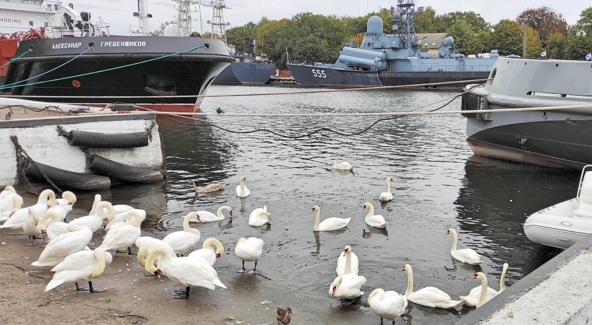 Трансфер из аэропорта Калининграда с экскурсией по Балтийскому побережью