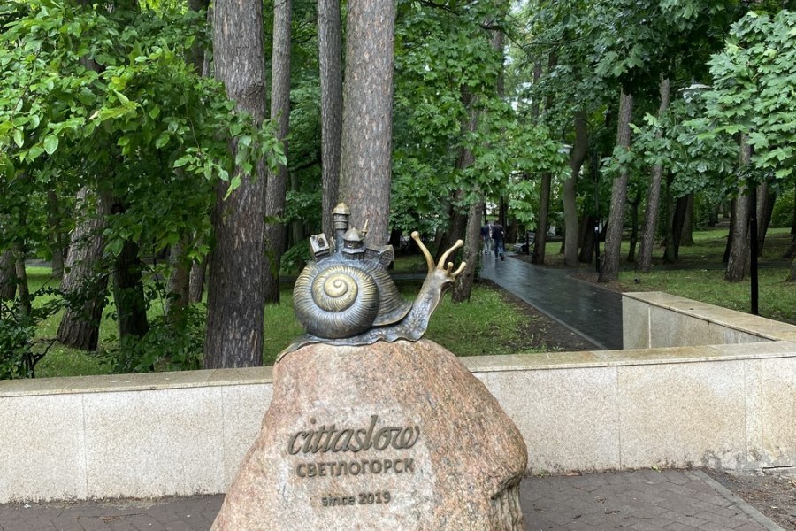 Светлогорск в кино и наяву