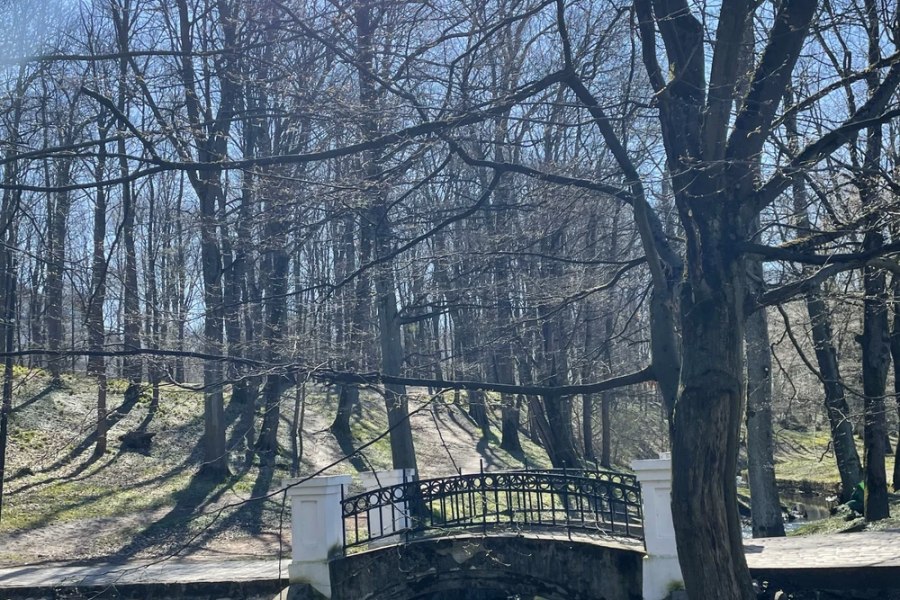 Победа... Какая она в городе «К» — Калининграде
