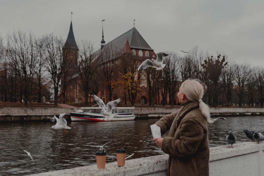 Непостановочная фотопрогулка по Калининграду