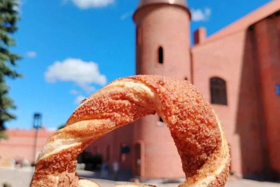 Замки Балтики — экскурсия из Калининграда (всё включено)