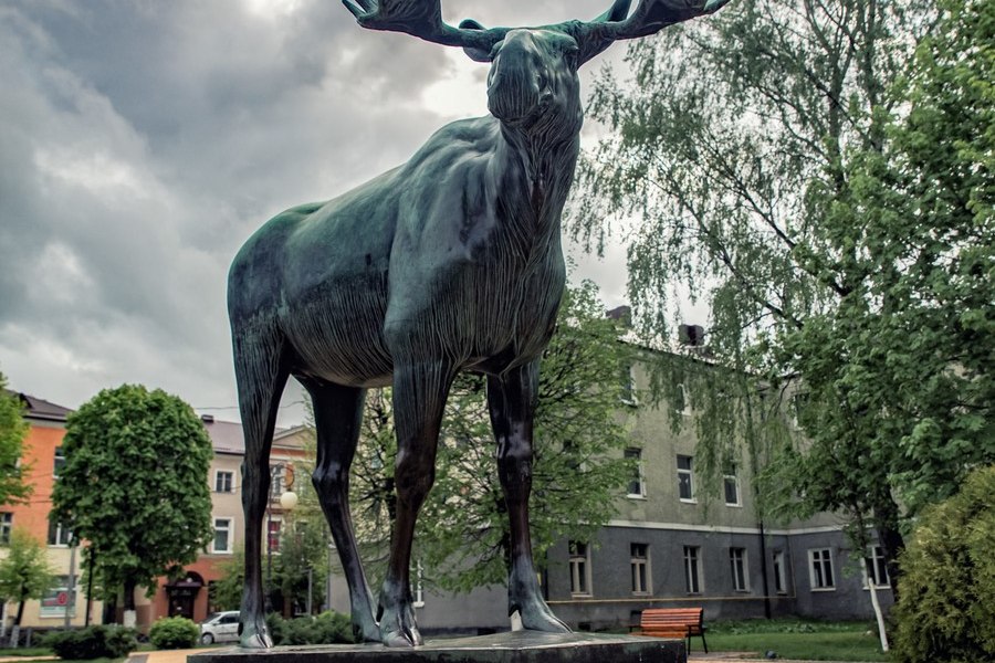 Пять городов или «Война и мир» в Калининградской области (в группе)