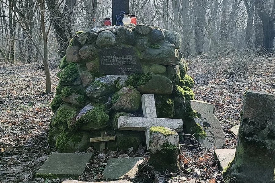 Замки Тевтонского ордена: Бальга и Бранденбург
