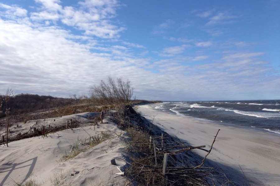 5 городов области и Куршская коса: новогодние праздники у моря