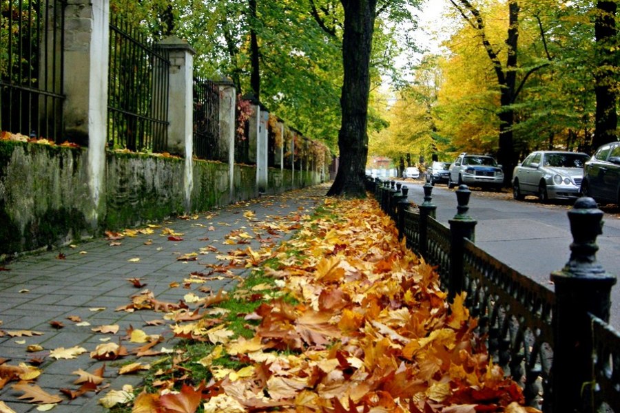Амалиенау — мелодия прошлого