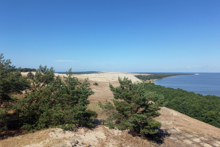 Путешествие по Куршской косе из Светлогорска