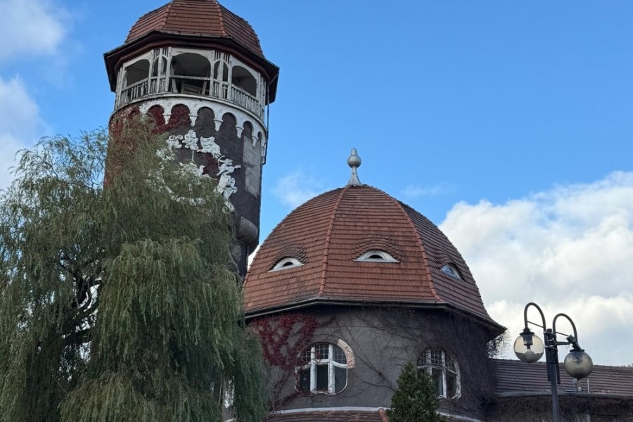 В объятиях Светлогорска, или Терапия созерцанием