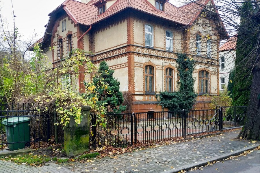 Амалиенау в деталях и историях