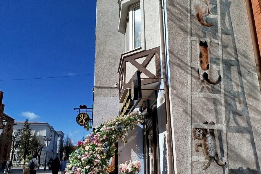 Зеленоградск: первые впечатления