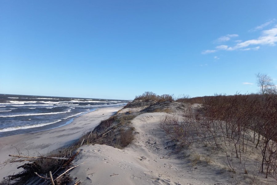 Увлекательные выходные: Калининград и курортные городки с местным гидом