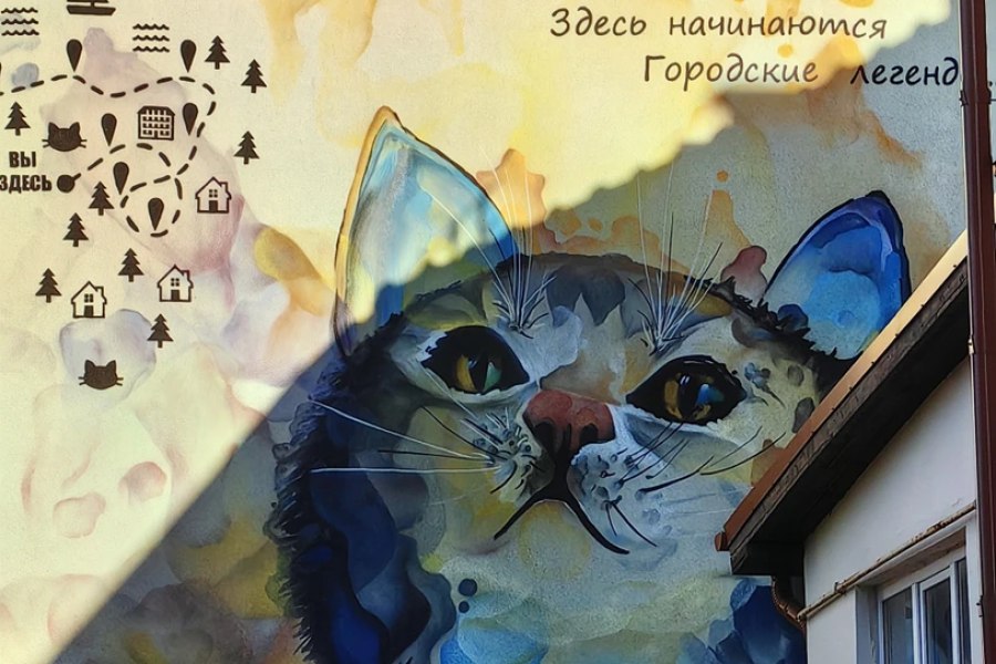 Найти три сотни котиков и дюжину ёжиков — квест-прогулка из Калининграда (7+)