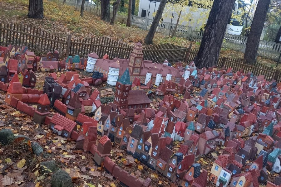 В объятиях Светлогорска, или Терапия созерцанием