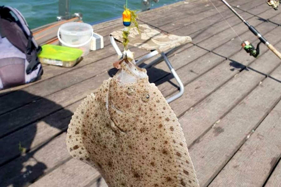 Из Калининграда в Зеленоградск: к морю на королевский курорт!