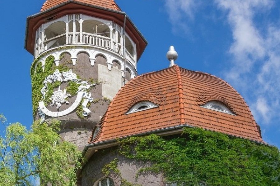 Куршская коса + Янтарный, Светлогорск и Зеленоградск (из Светлогорска)