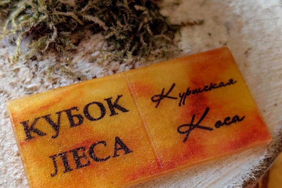 Кубок леса: квест по Куршской Косе