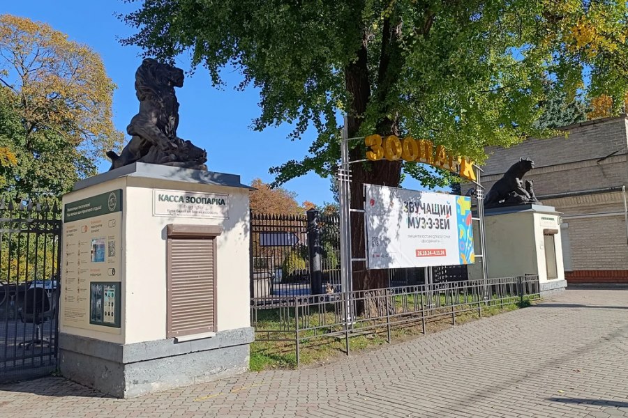 Мобильный квест в Калининграде «Новые приключения Красной Шапочки»