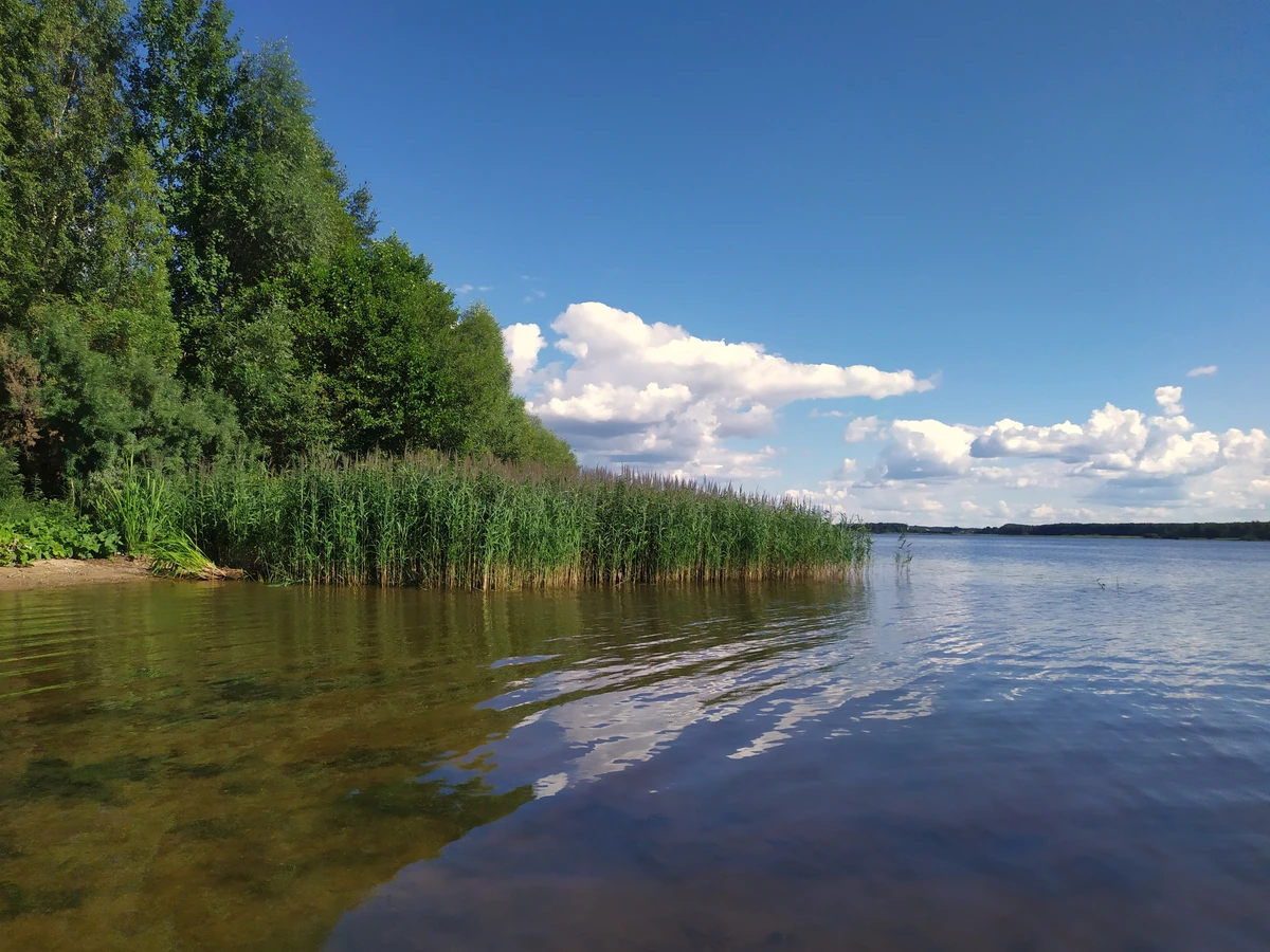 Очарование древней Костромы с воды (на катере)