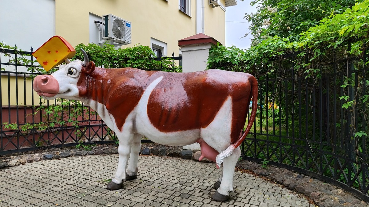 Любимая Кострома