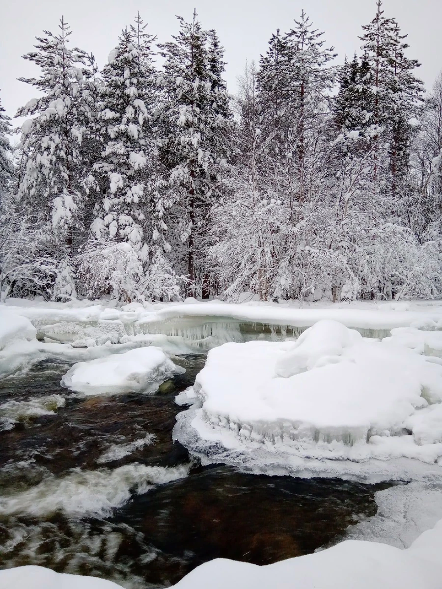 Фотоэкспедиция «Сказка Южного Заполярья»