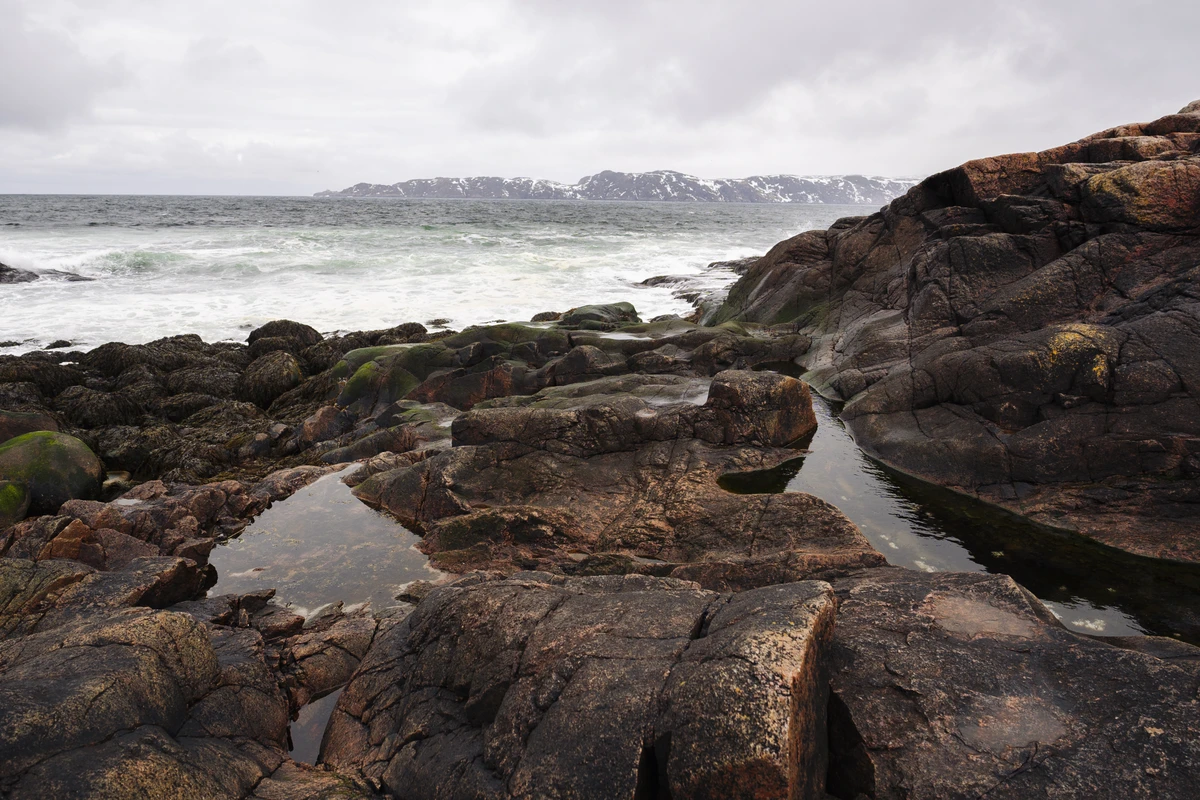 Из Мурманска в Териберку: морская прогулка и знаковые места