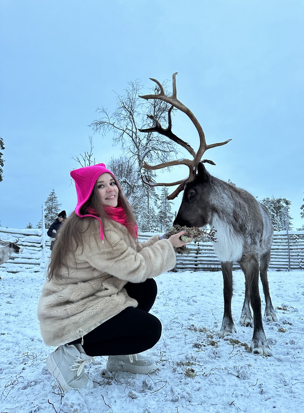 Сияние, коренные жители и деликатесы Севера с гидом-фотографом