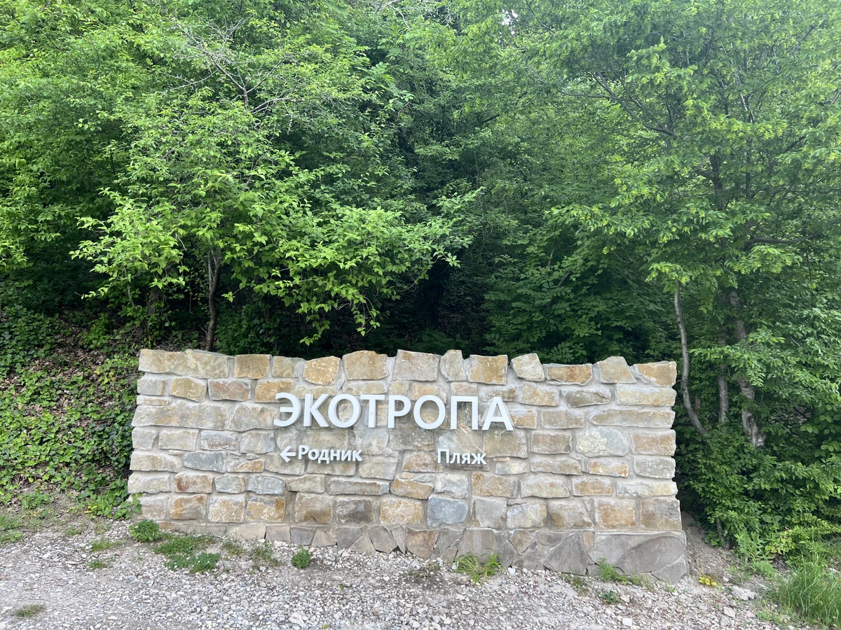 В гармонии с природой: прогулка по экотропе и сапсёрфинг в Абрау-Дюрсо