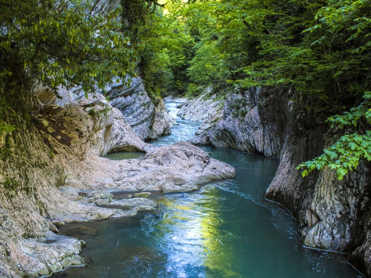 Красота дикой природы Сочи