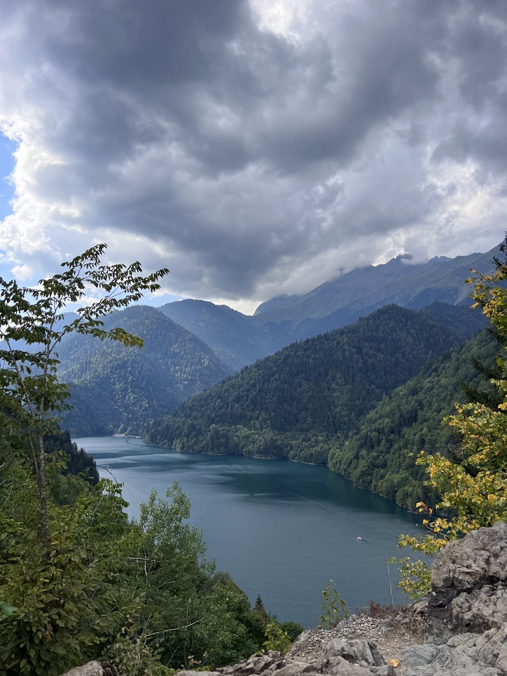 «Рицинский экспресс» из Сочи