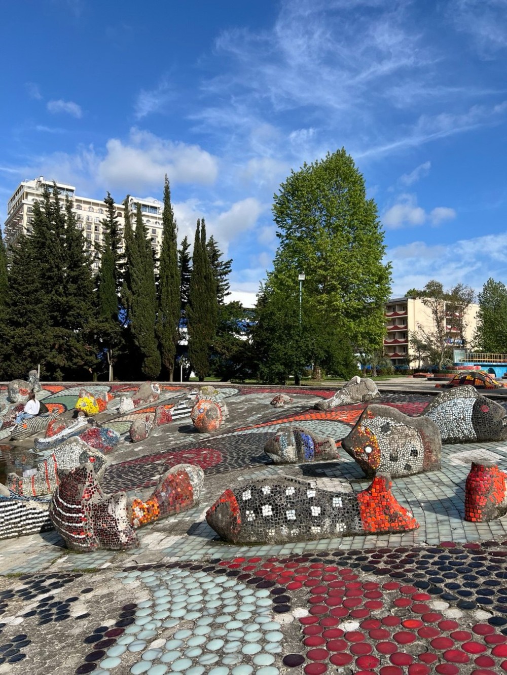 В главной роли — Адлер: поездка из Сочи