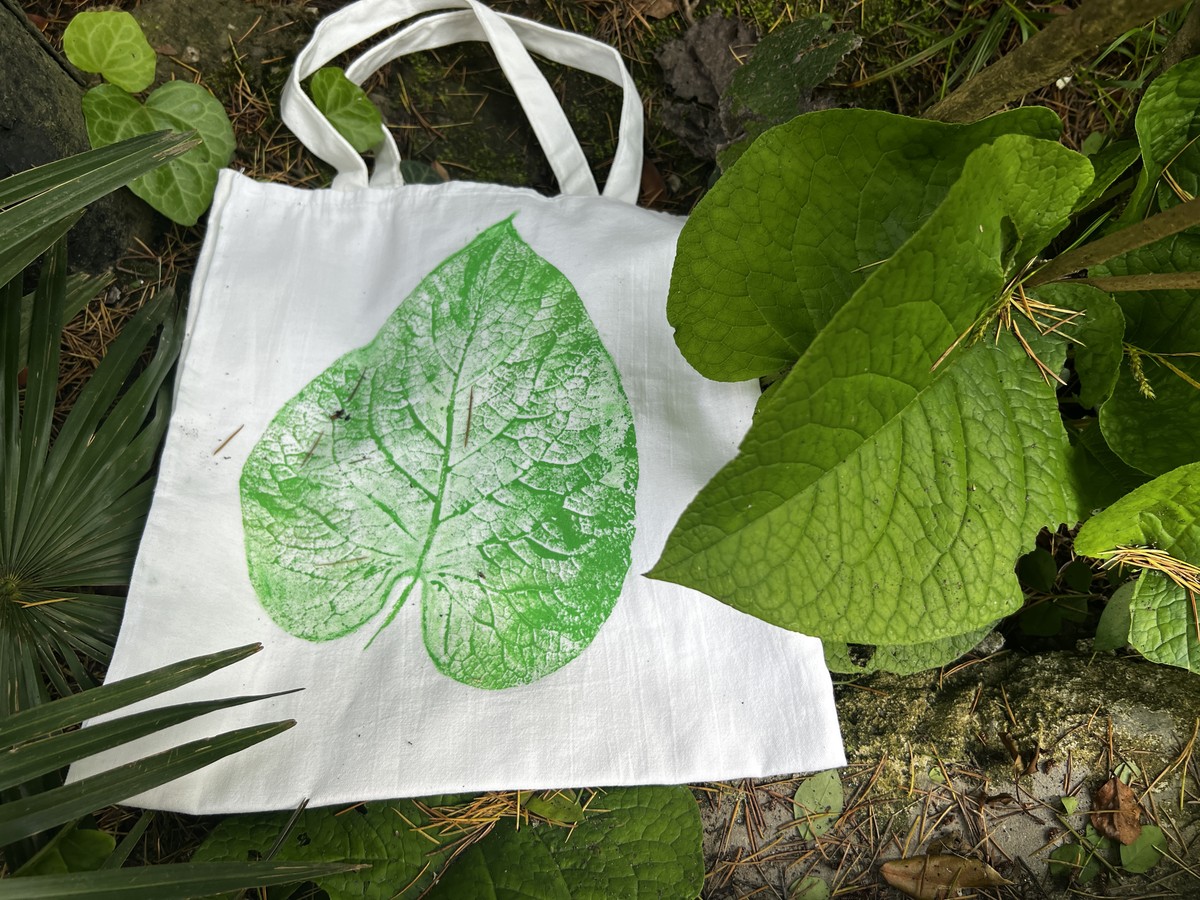 Мастер-класс по монотипии экзотических растений + экскурсия по парку в Сочи