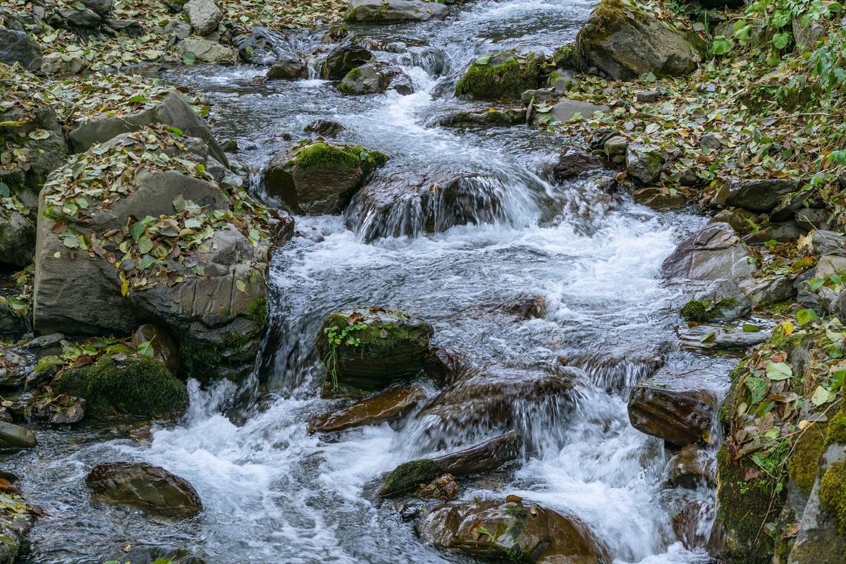 Лёгкий треккинг к водопаду Красной Поляны