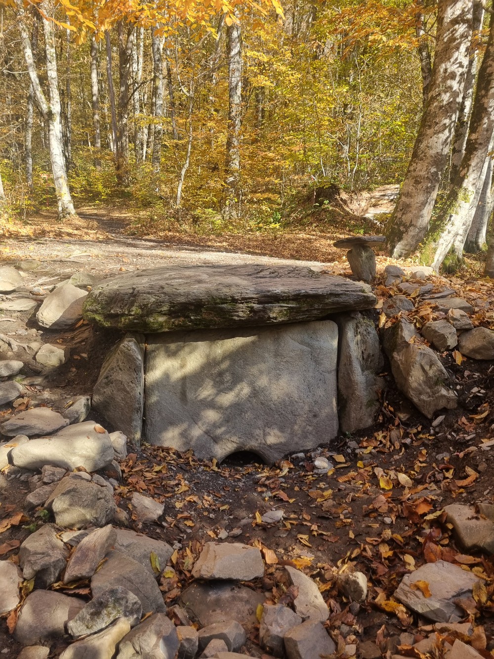 Все грани Красной Поляны: погружение в историю, природу и гастрономию курорта