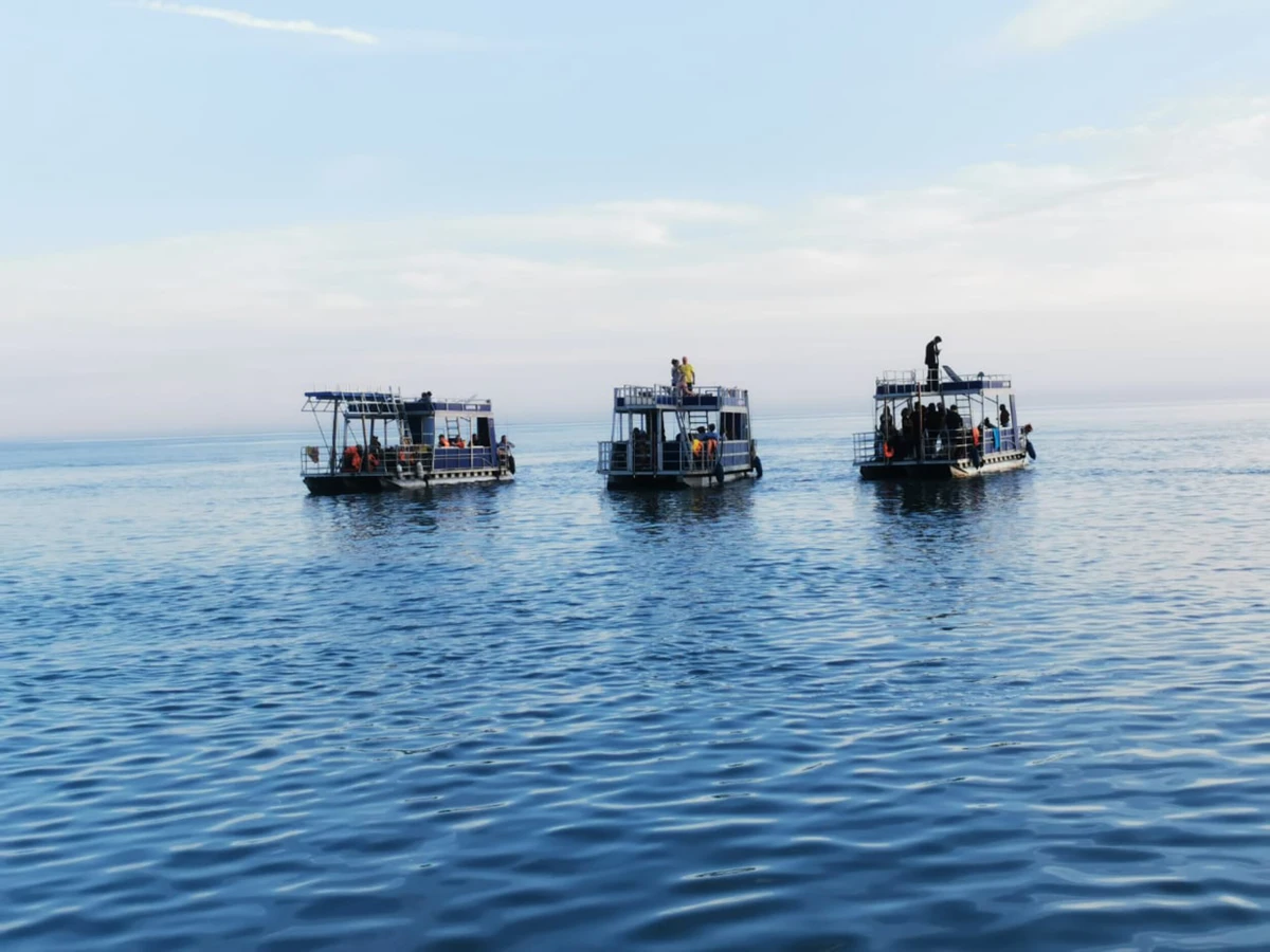 Морская рыбалка в Адлере с приготовлением улова на борту