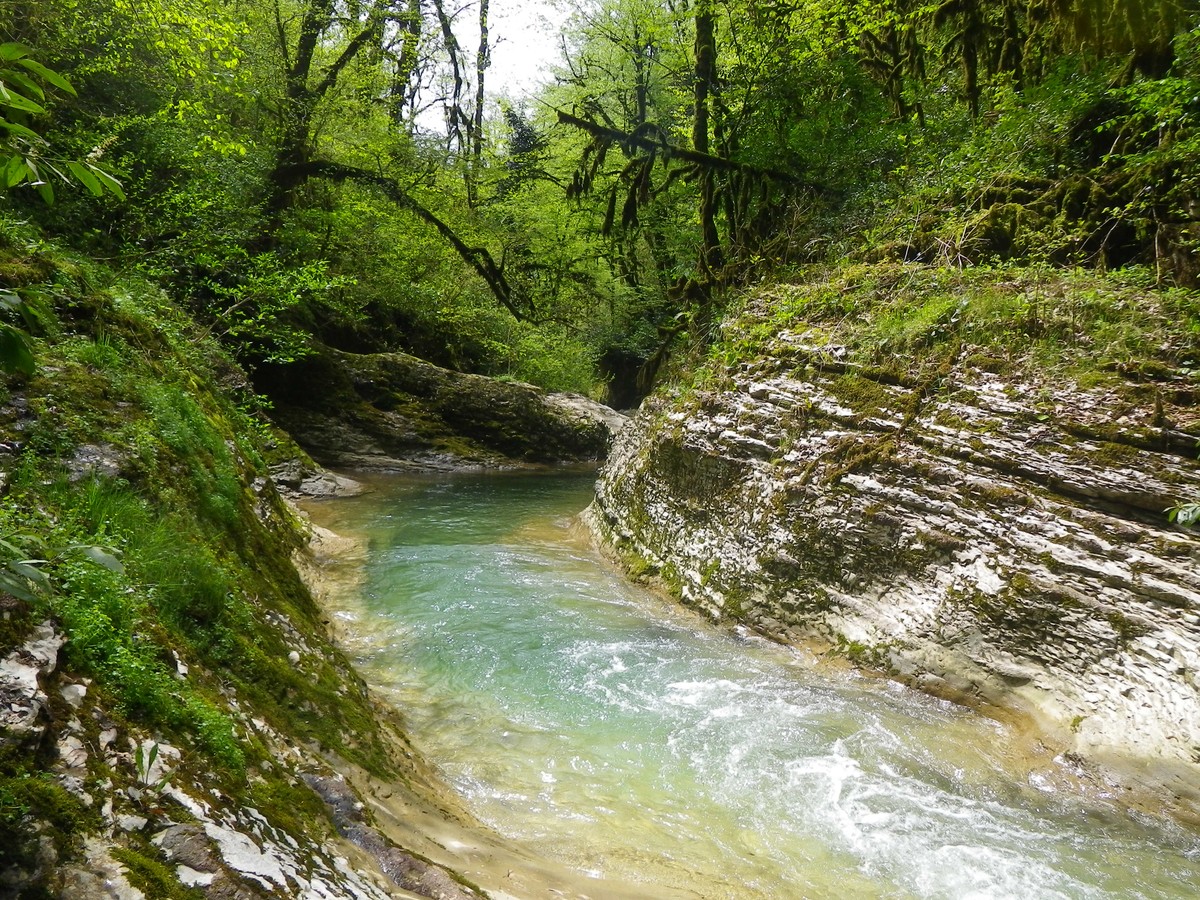 Большой тур по Сочи: природа, архитектура, история