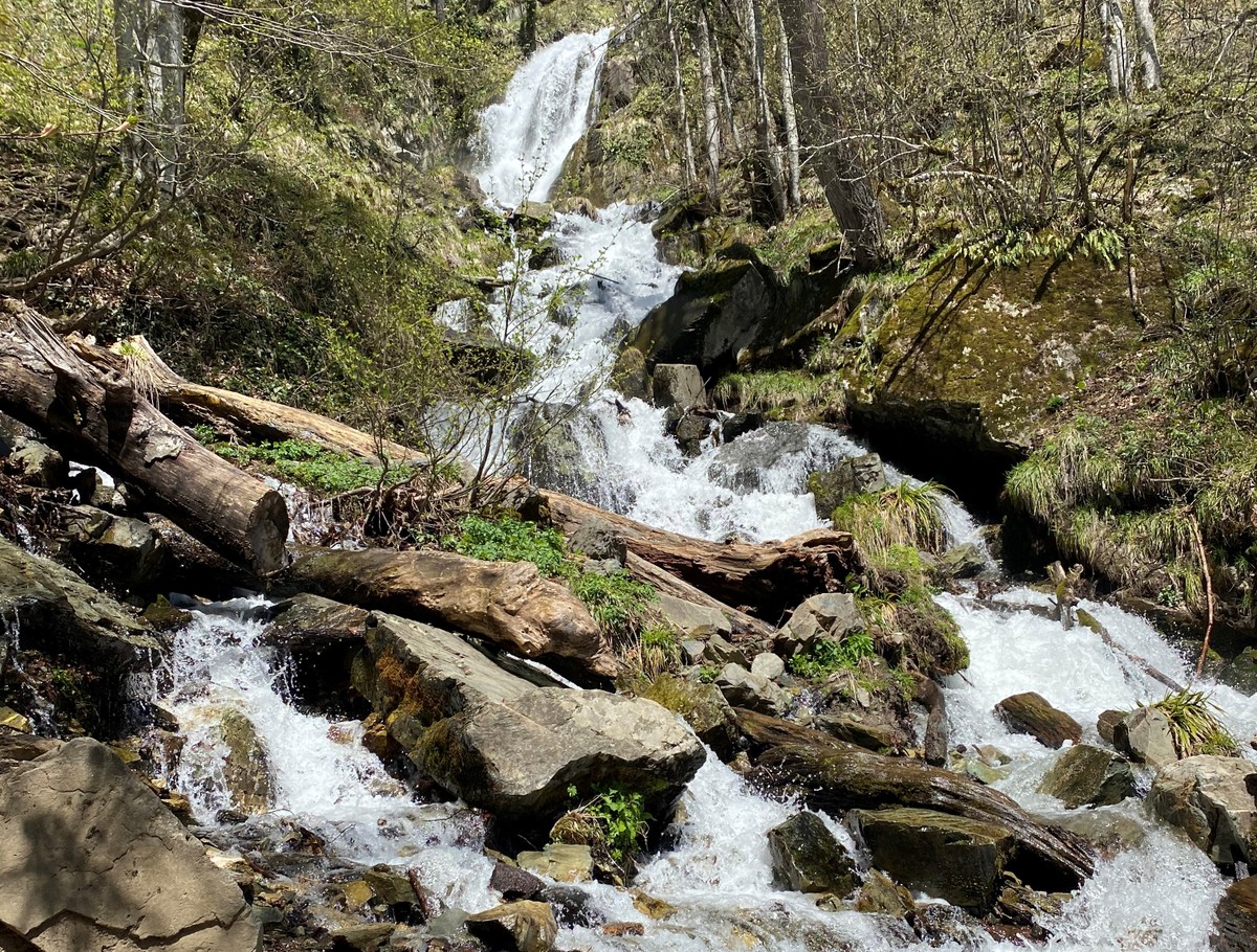 Лёгкий треккинг к водопаду Красной Поляны