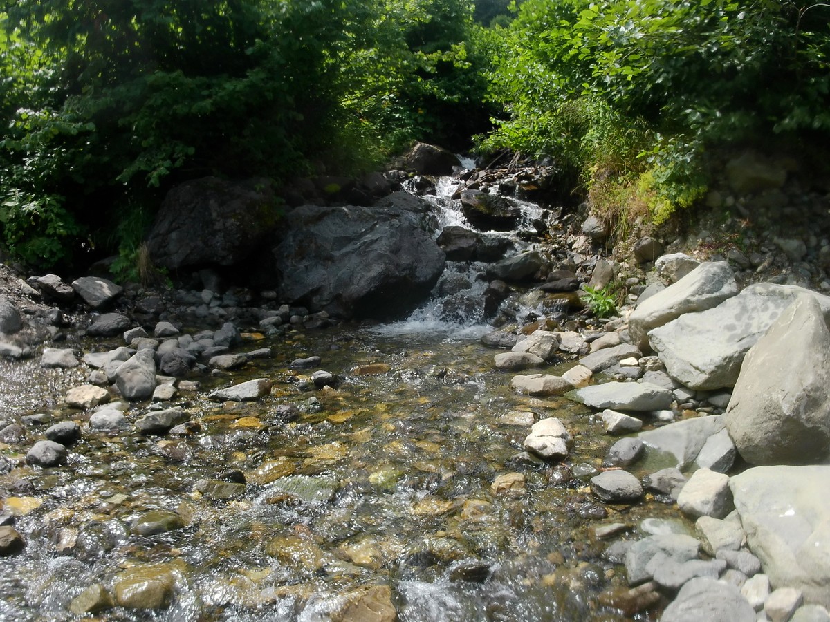 Горные купели Красной Поляны