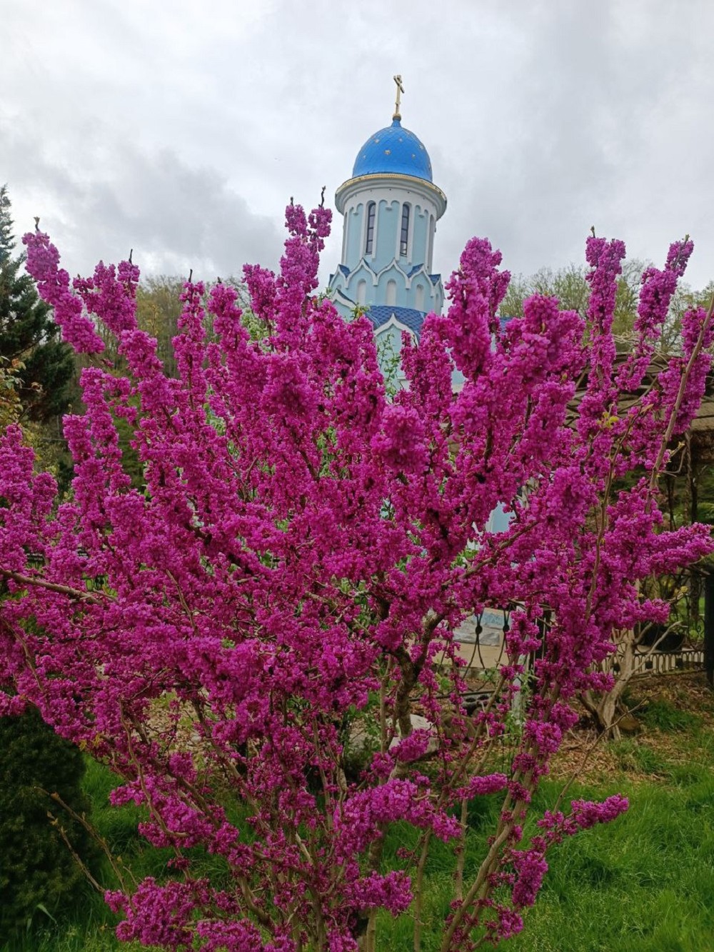 Православный Сочи
