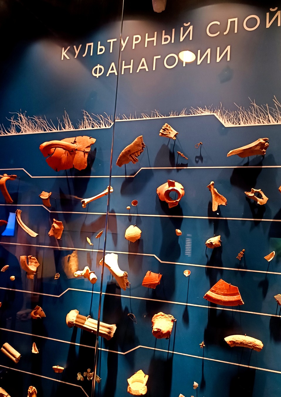 Боспорское царство на берегах Чёрного моря