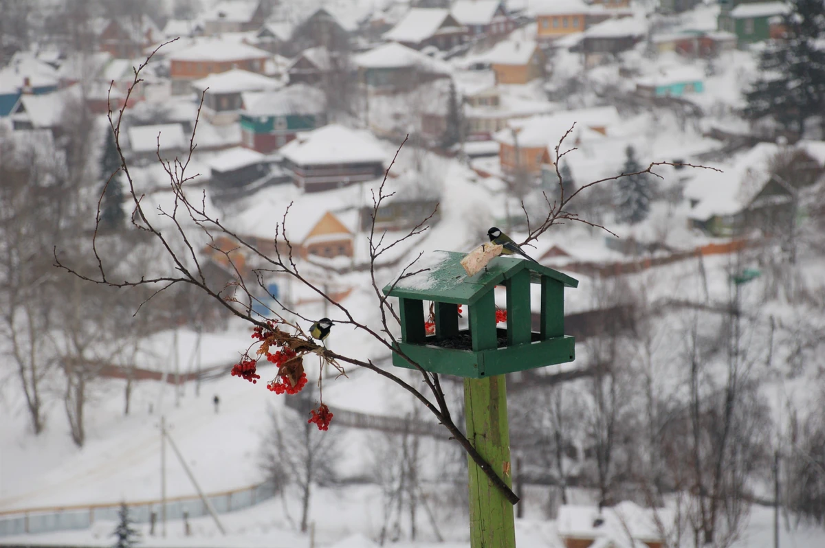 Плес — самоцвет русской земли