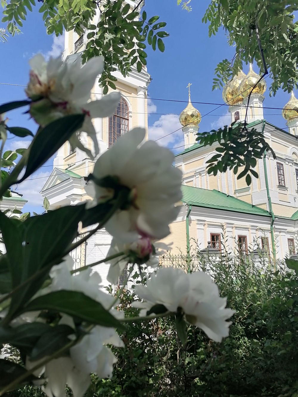 По страницам истории Плёса, вслед за кистью Левитана